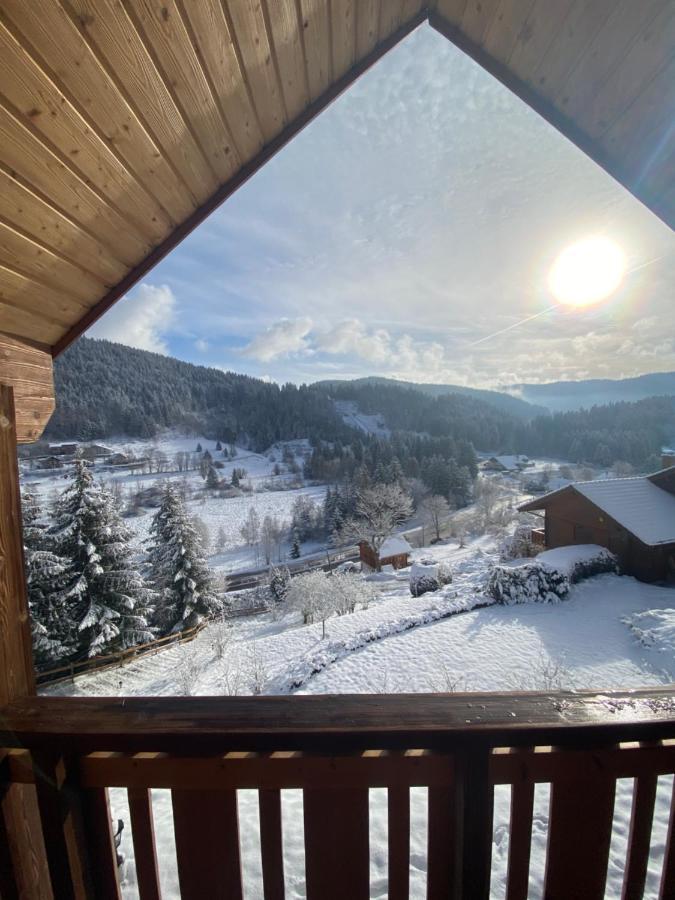 Chalet de la Grimpette au coeur de Gérardmer Esterno foto