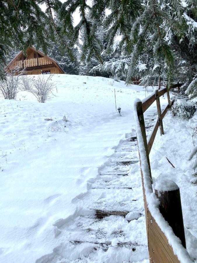 Chalet de la Grimpette au coeur de Gérardmer Esterno foto