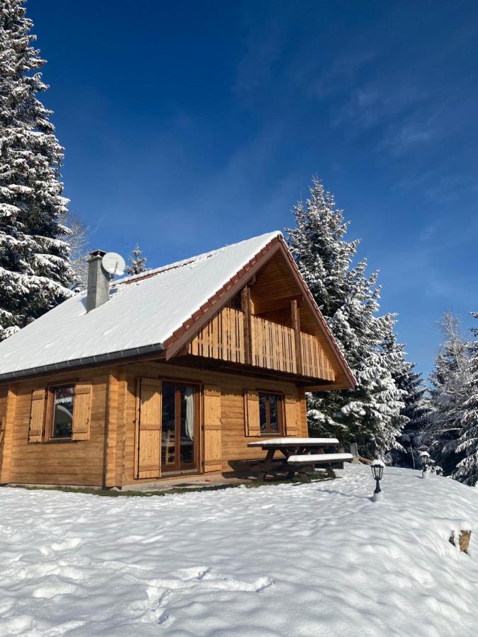 Chalet de la Grimpette au coeur de Gérardmer Esterno foto
