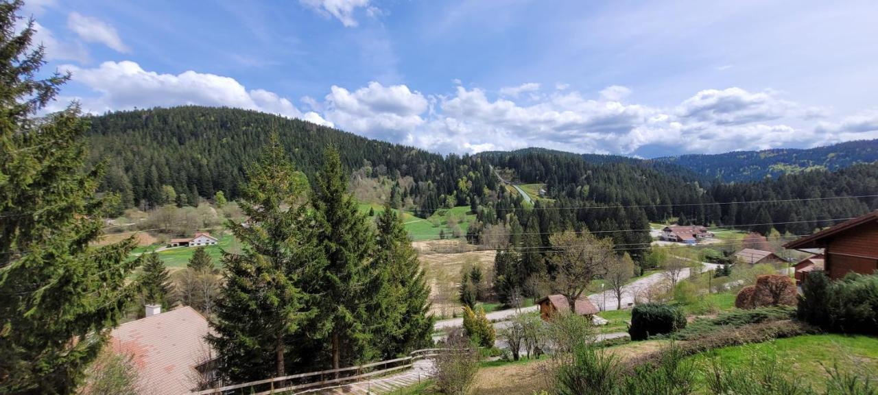 Chalet de la Grimpette au coeur de Gérardmer Esterno foto