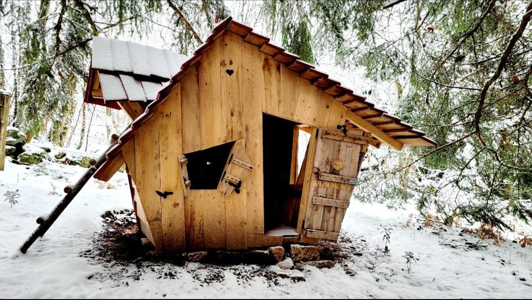 Chalet de la Grimpette au coeur de Gérardmer Esterno foto